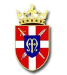 Call to Chivalry Weekend:  Catholic Boys Rediscover Medieval Treasures 2