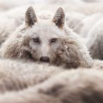 Will the New Leo Drive Away the Old Wolves?